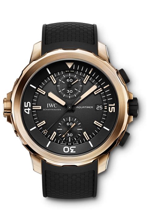 iwc aquatimer chronograph edition expedition charles darwin iw379503 replica|100 facts about charles darwin.